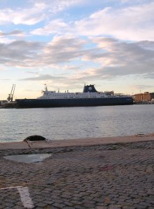 6 Μετά τη βροχή 16 09 13