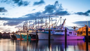 7569527650_f7bfc4933d_z