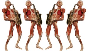 48fbd39db89eb5519d690a389983af97