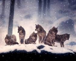 WOLFS