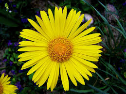 images (11)