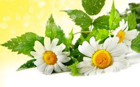 images (9)
