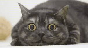 αρχείο λήψης (7)