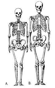 αρχείο λήψης (10)